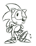 Sonic in his cartoon form